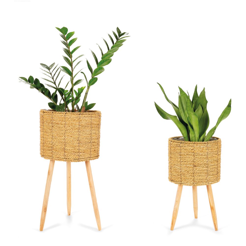 SET 2 CATTAIL GRASS PLANTERS Ø30X58 AX21542 - Flower pots - ANDREA 