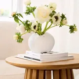 Vases - World of Wonders Collection. 2025. - RAEDER DESIGN STORIES