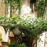 Objets de décoration - Trelli - DÉCORAMA
