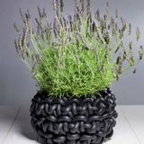 Decorative objects - COLOSSO Baskets - NEO DI ROSANNA CONTADINI