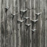 Autres décorations murales - Grand troupeau d'oiseaux - THOMAS POGANITSCH DESIGN