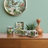 Gifts - Jay - Haeckel - CUBIC PRODUCTS