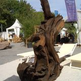Design objects - Root sculpture - WILD-HERITAGE.COM
