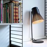 Hanging lights - SECTO DESIGN Petite Suspension - LA BOUTIQUE SCANDINAVE