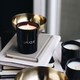 Decorative objects - NEROLI - SCENTED CANDLE - LALIQUE VOYAGE DE PARFUMEUR