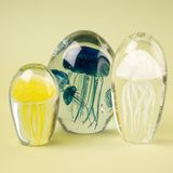 Decorative objects - Fossilised Jellyfish - ASIATIDES
