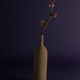 Vases - TANGA Ceramic Bottle Vase. - ASIATIDES
