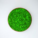 Office design and planning - G-Circles Wall panel - GREEN MOOD