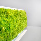 Office design and planning - G-Desk - GREEN MOOD