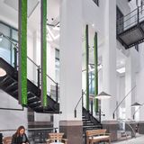 Office design and planning - Preserved Green Wall - Forest - GREEN MOOD