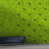 Aménagements pour bureau - Mur vert scintillant - GREEN MOOD
