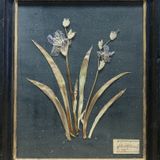 Decorative objects - Decoration Objects - OFFICINA NATURALIS