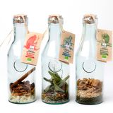 Épicerie fine - Mélanges pour rhums arrangés bio - QUAI SUD