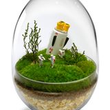 Objets design - TerrariumArt - TERRARIUMART