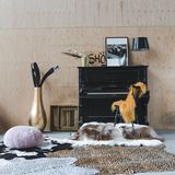 Objets personnalisables - Imprimé de tigre en cuir de vachette DYRESKINN® 3,5-4 m2 - DYRESKINN