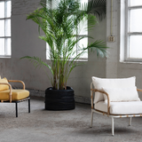 Lounge chairs - Capizzi by René Barba - SERAX OLD