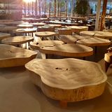 Coffee tables - WOOD | Coffee tables of Suar wood - XYLEIA PETRIFIED WOOD