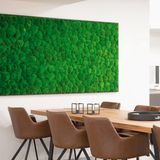 Décorations florales - Murs de mousse boule sur mesure - GREEN MOOD