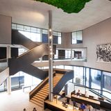 Other wall decoration - Custom made provence moss walls - GREEN MOOD