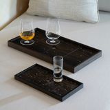 Trays - nova tray - DRAGONFLY