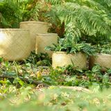 Poterie - Pot de fleurs Skinbamboo - QUETZALES