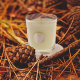 Candles - PERFUMED CANDLE - LE PÈRE PELLETIER