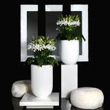 Décorations florales - Set Arrangements Medium - Compositions florales moyennes - VG - VGNEWTREND