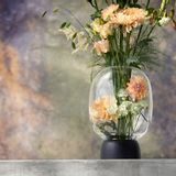 Vases - Morchella Vase Black/Clear Glass, h. 27 cm - CHICURA COPENHAGEN