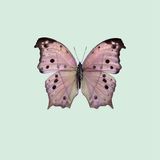 Poster - Pastel butterflies - LILJEBERGS