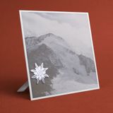 Papeterie bureau - Magnetic stainless steel photo stand - Swiss - TOUT SIMPLEMENT,