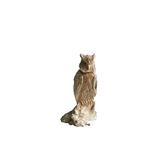 Decorative objects - Harry small - SEMPRE LIFE