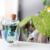 Tasses et mugs - INFUSEUR EN VERRE - GREENMA