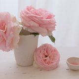 Mugs - Trio of cups. - MYRIAM AIT AMAR