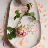 Platter and bowls - Envolée oval dish - MYRIAM AIT AMAR