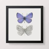 Gifts - Framed mini prints - LILJEBERGS