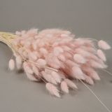 Children's arts and crafts - dried lagurus pink - LE COMPTOIR.COM