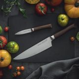 Kitchen utensils - Kitchen knives " The Forged 1890" - OPINEL