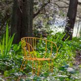 Lawn armchairs - OLIVO Armchair - ISIMAR