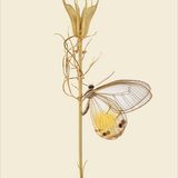 Poster - Bugs on twigs - LILJEBERGS