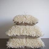 Fabric cushions - Cushion - STUDIO RO SMIT