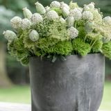 Poterie - Pot Jamal - GOMMAIRE