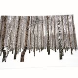 Tapis contemporains - Tapis imprimés en Suédine Collection Montagne - COAST AND VALLEY, UNE MARQUE DE LA SARL MYDITEX COMPANY