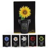 Garden accessories - Collection Pots black with seeds to sow - RADIS ET CAPUCINE