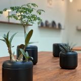 Vases - PLANT POT HACHI No.3 - FUJITA KINZOKU