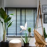 Curtains and window coverings - JASNO BLINDS - Venetian blind wood in the bathroom, kitchen or spa - JASNO