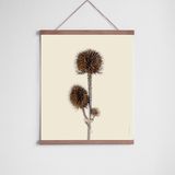 Frames - Oak hanger - LILJEBERGS