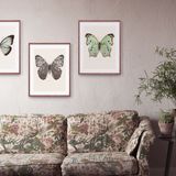 Art photos - Art prints of nature - LILJEBERGS