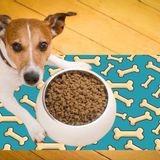 Tapis - Mangeoire pour les chiens et les chats - CONTENTO