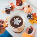 Coffee and tea - Maple Leaf Shape Tea Bag - TEA HERITAGE