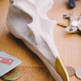 Caskets and boxes - Bird skull jewellery box - SUCK UK